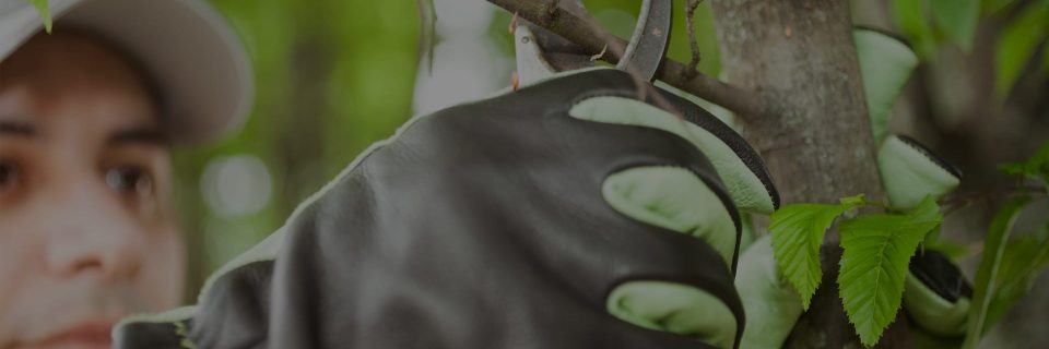 Landscaping To Garden Care
We Are On Hand To Help You