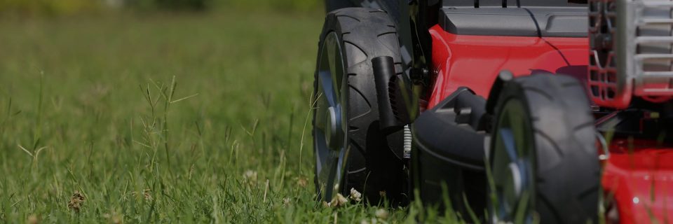 Your Lawn And Landscape
The Way That It Should Be